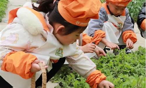 采艾草做青团_学生上山摘艾草自制青团